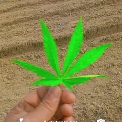 Harjit Singh
