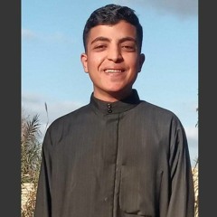 محمد سعيد