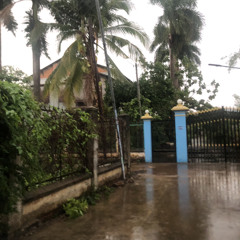 kgbao