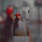 Massielita🥰