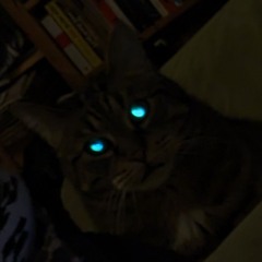 juli☆ﾟ