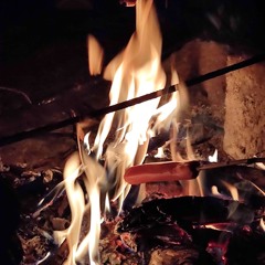 NOSE