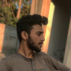 Muhammad Maaz Butt