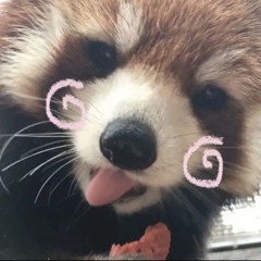 xiinhuua