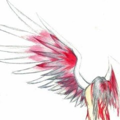 网友地下