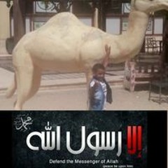 Eman Emy