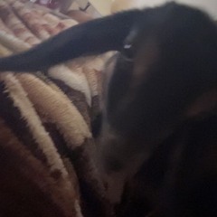 I only rly made this for kill bill