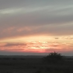 sajad