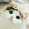 katty
