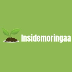 Inside Moringa