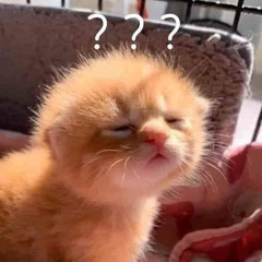 Quỳnh Trúc 🥺