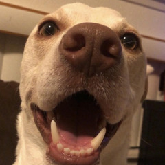 koji
