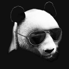 Sasha panda bear