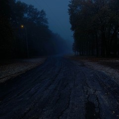 stnsefgy