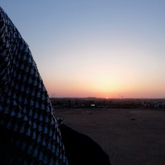 ذاك شيخ ألمعيٌ