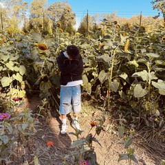 senillo