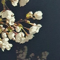 ■_■  ☆-☆  ♡ㅇ♡  ●.●