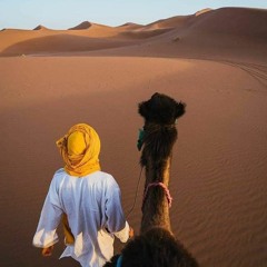 Syed Mohammad Ali Æbbas