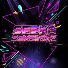 SEBKA SEMBIRINGV27