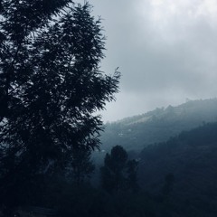 chill Night 🦋🌚