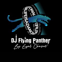 DJ Flying Panther