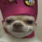 yoGUrtman
