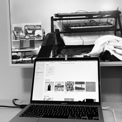 Zap le Ports; 5384; DISCO SEBA