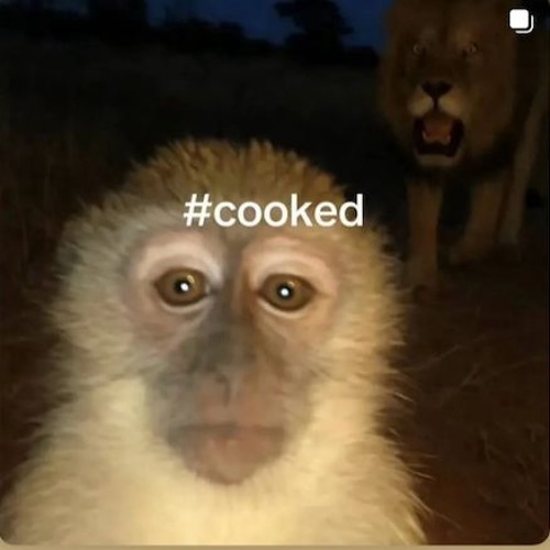 Something by the Beatles - emmpty track this is just me singing the lyrics its quiet in the beginning learning how to play guitar over this