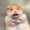 햄