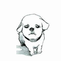 doge2point