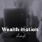 Wealth motion