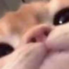 F4b1Z3y0