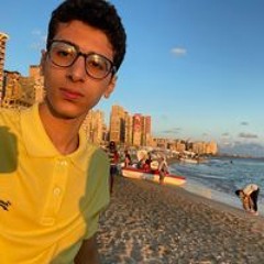 Yasser Mohamed Elhadad
