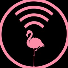 The Flamingos Podcast