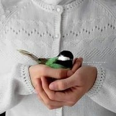 فداء العصا