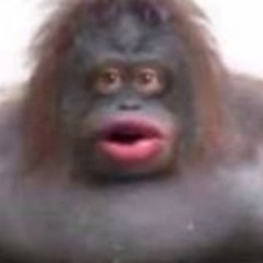 Gorilla gaming