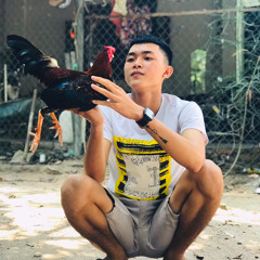 thanhloi