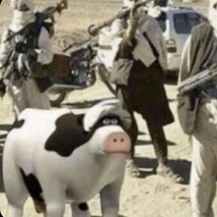 Osama Cow