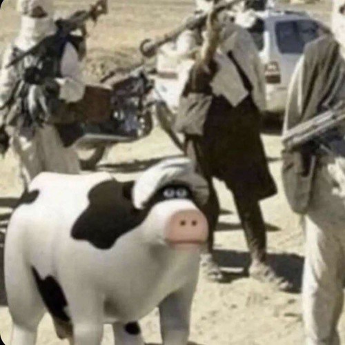 Osama Cow’s avatar