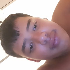 dj silvestre mashups y edits 2 0