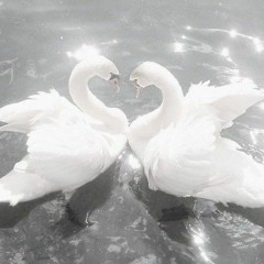 サンクララップ