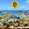 Gabriel Fernandes