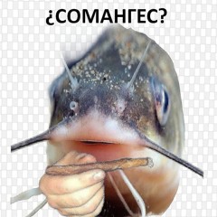 Althee