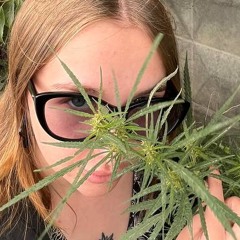 Полина Мельниченко