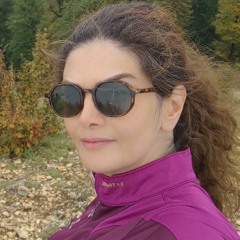 Sepideh Kavyani