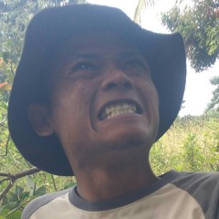 Doni