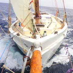 Schooner Hamilton
