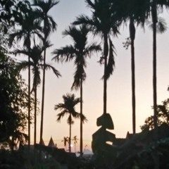 Simple guy