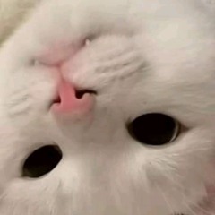 Натали Натали