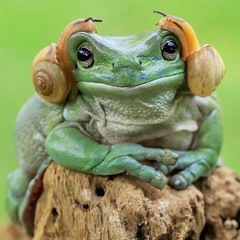 r4n4